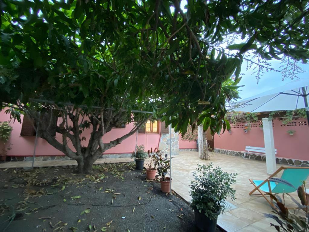 Mazo Casa Pepa Y Argeoヴィラ エクステリア 写真